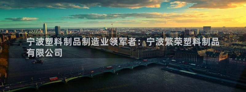 太陽(yáng)集團(tuán)股份有限公司官網(wǎng)：寧波塑料制品制造業(yè)領(lǐng)軍者：寧波繁榮