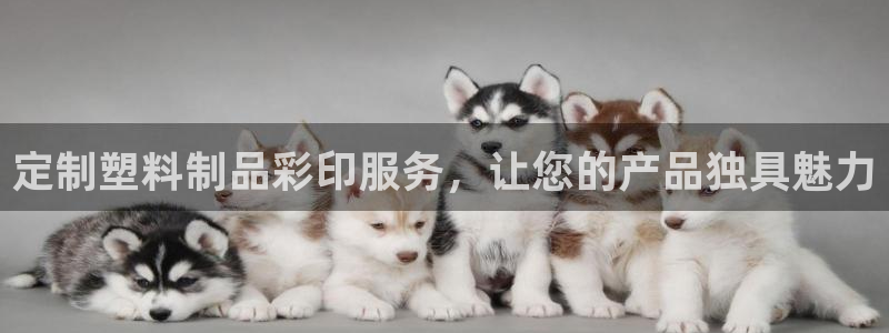 太陽集團(tuán)的法人代表：定制塑料制品彩印服務(wù)，讓您的產(chǎn)品獨(dú)具魅力