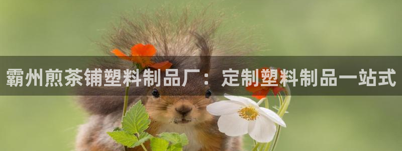 太陽(yáng)集團(tuán)在線(xiàn)：霸州煎茶鋪塑料制品廠(chǎng)：定制塑料制品一站式