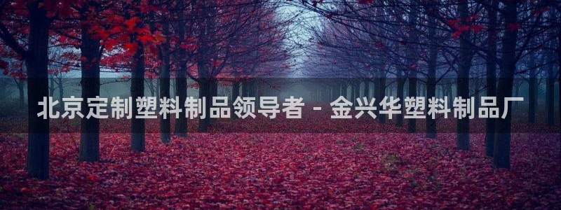 太陽(yáng)集團(tuán)城網(wǎng)址娛網(wǎng)首頁(yè)：北京定制塑料制品領(lǐng)導(dǎo)者 - 金興華塑