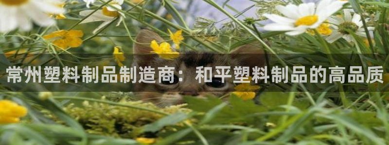 太陽(yáng)成娛樂(lè)集團(tuán)：常州塑料制品制造商：和平塑料制品的高品質(zhì)