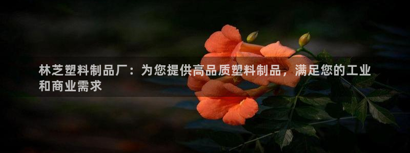 太陽集團游戲城舊版：林芝塑料制品廠：為您提供高品質塑料制品，