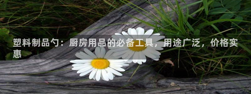 太陽(yáng)成集團(tuán)網(wǎng)址 app：塑料制品勺：廚房用品的必備工具，用途