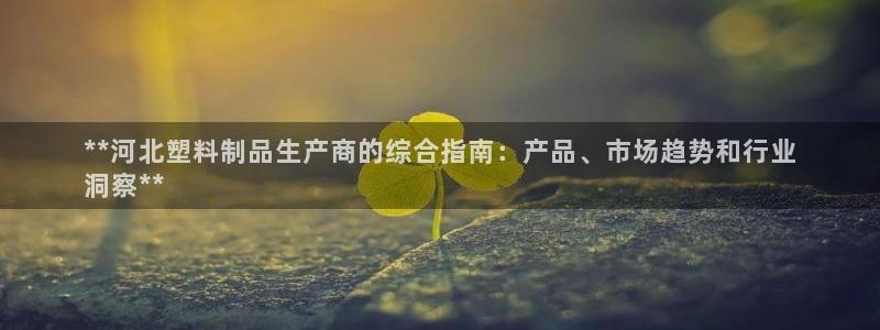 太陽地產(chǎn)老板：**河北塑料制品生產(chǎn)商的綜合指南：產(chǎn)品、市場趨