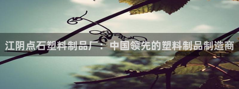 太陽(yáng)游戲城app：江陰點(diǎn)石塑料制品廠：中國(guó)領(lǐng)先的塑料制品制造